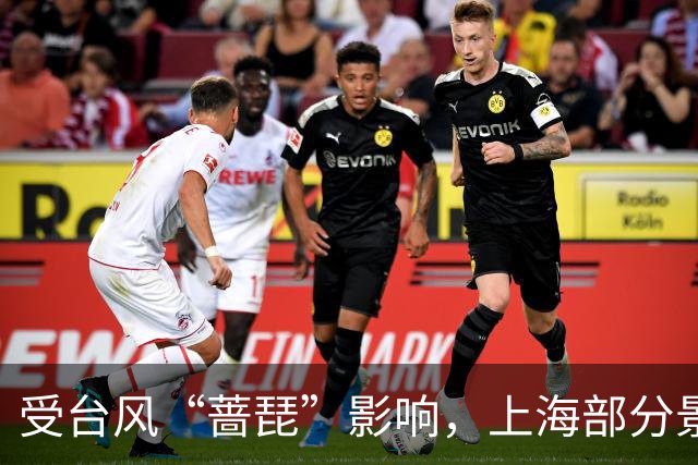受台风“蔷琵”影响，上海部分景区闭园、多场文旅活动调整