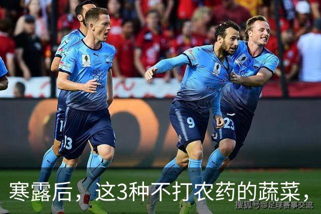 寒露后，这3种不打农药的蔬菜，再贵都要买，强身健体，增免疫