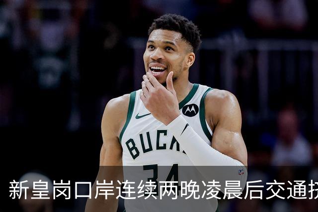新皇岗口岸连续两晚凌晨后交通挤塞 议员吁旅客多留一晚消费