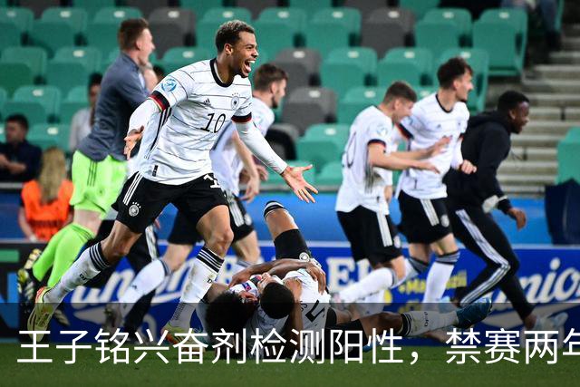 王子铭兴奋剂检测阳性，禁赛两年，大好职业生涯按下暂停键！