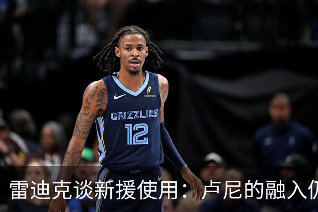 雷迪克谈新援使用：卢尼的融入仍是进行时